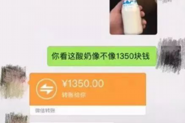 无为遇到恶意拖欠？专业追讨公司帮您解决烦恼